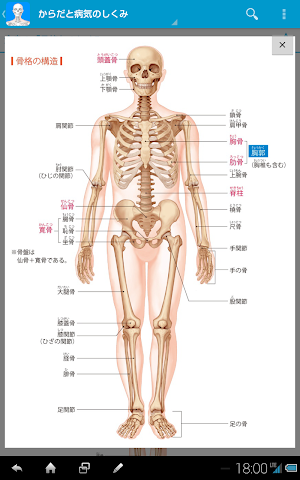 画像クリックでメニュー表示／非表示