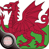Head Soccer EURO 2016 Wales icon