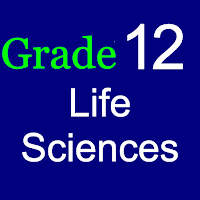 Grade 12 Life Sciences