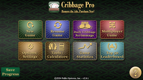 Cribbage Pro poster 17