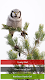 screenshot of Bird Quiz: Aves Europe