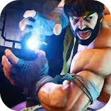 Picview Street Fighter V HD icon