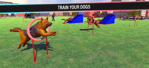 US Police Dogs Transport Horse