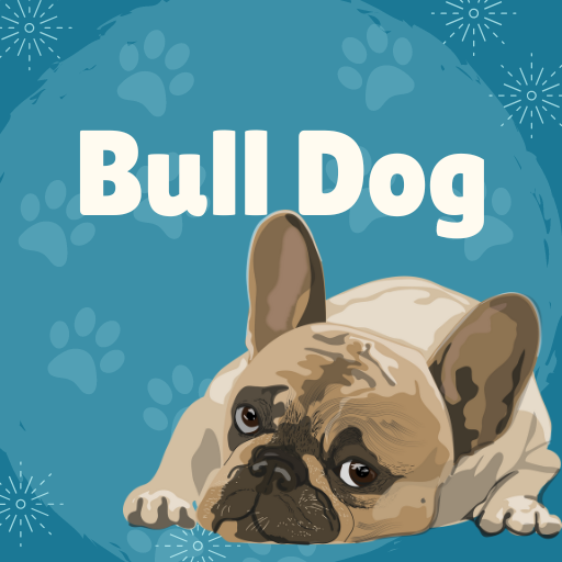 Cute Bulldog Wallpapers Download on Windows