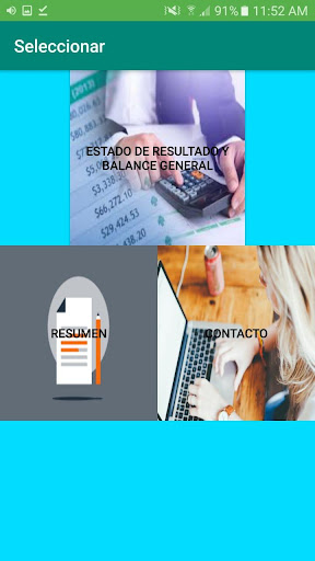 Sistema Contable Accounting Screen 2