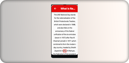 uae national day Screen 3