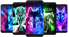 オオカミの壁紙hd Androidアプリ Applion