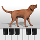 Dog Piano Keyboard Auf Windows herunterladen
