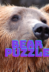 The Bear Picture Puzzle