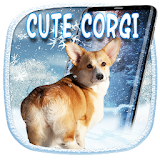 3D Rump Shaking Corgi Dog Theme&Live wallpaper icon