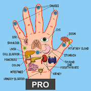 Master Acupressure Pro - Su Jok