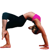 Back Flexibility Stretches icon