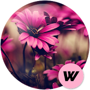 Flowers Wallpapers HD 🌹 3.3.2 Icon