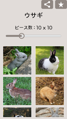 ジグソーパズル：ウサギのおすすめ画像4