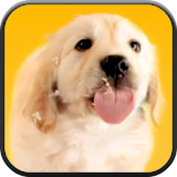 Puppy Licks Screen icon