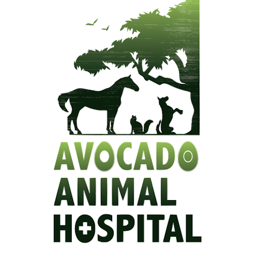 Avocado Vet logo