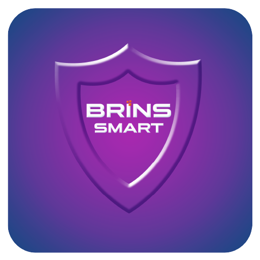 BRINESIA SMART logo