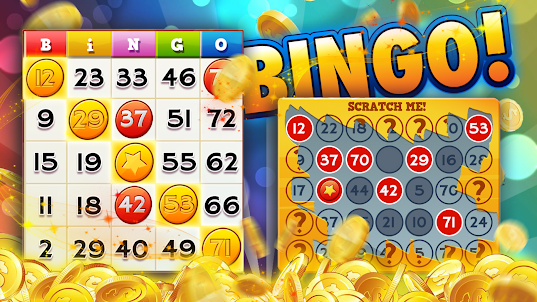 Bingo coin - Loteria em casa