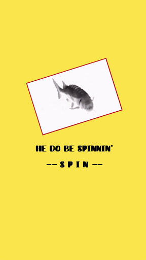 Spinning Fish Screen 3