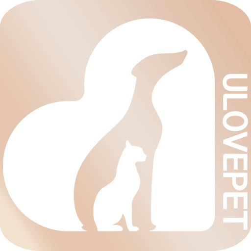 강아지입양 고양이입양 - 유럽펫 유기동물보호센터 logo