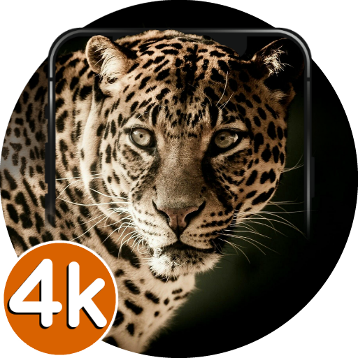 Leopard Wallpapers HD | 4K Leo  Icon