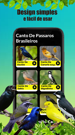 Canto de Corrupiao Fêmea Screen 3