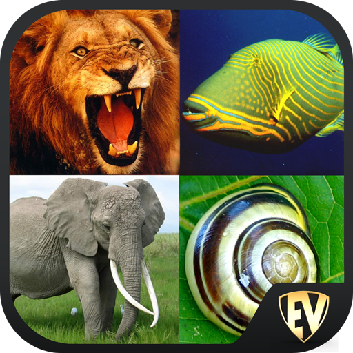 Animal Encyclopedia Offline 1.1.4 Icon