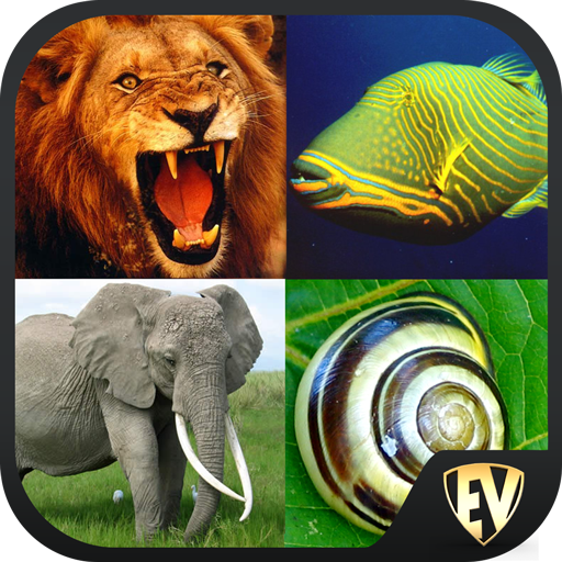 Animal Encyclopedia Offline  Icon