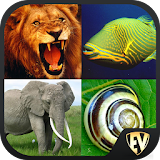 Animal Encyclopedia Complete Reference Guide Free icon