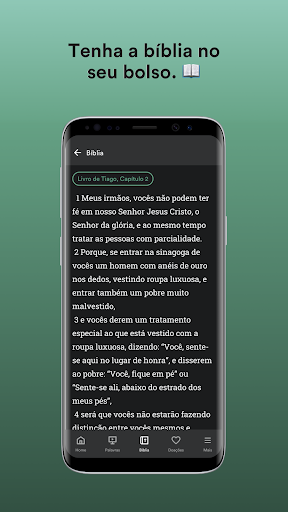 IPQuirinópolis Screen 3