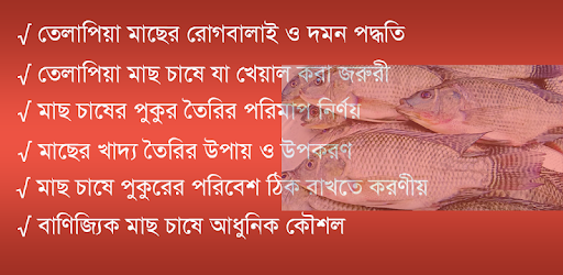 তেলাপিয়া মাছ চাষ পদ্ধতি ~ Til