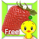 Fruit What's this？ Japanese 果物 icon