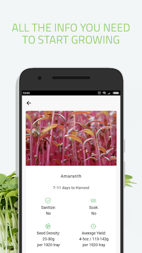 Microgreens Guide Screen 3