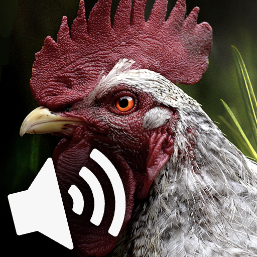 Rooster and hen sounds logo