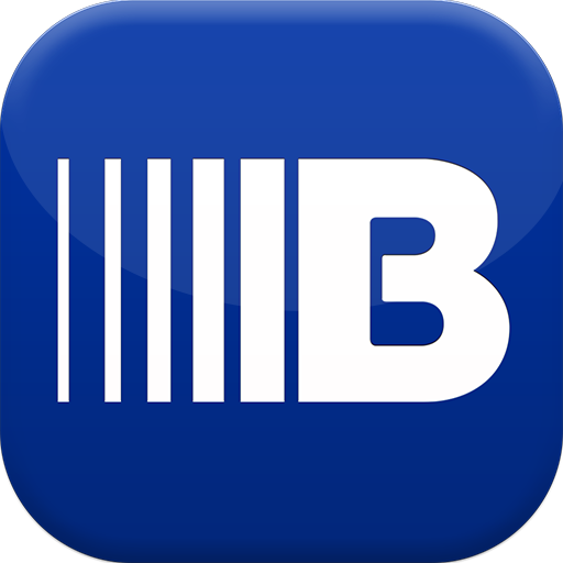 Brinks Israel Solutions Screen 2