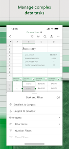 Microsoft Excel: Spreadsheets 4