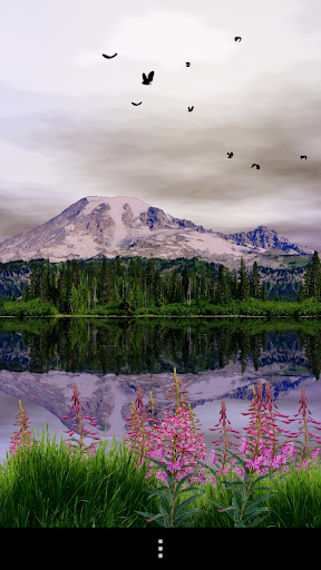 Mount Rainier Lite Screen 3