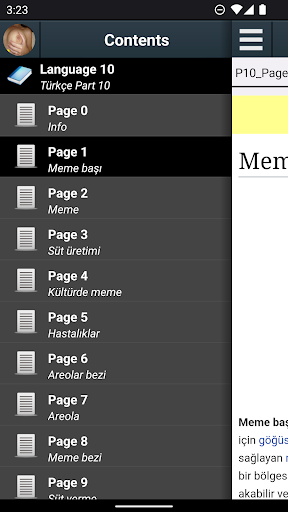 Uygulama önizlemesi