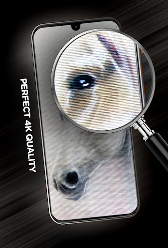 Drawing Wallpapers in 4K