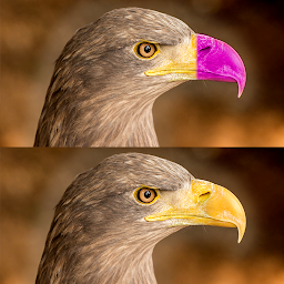 Icon image FIND IT - Spot the Difference