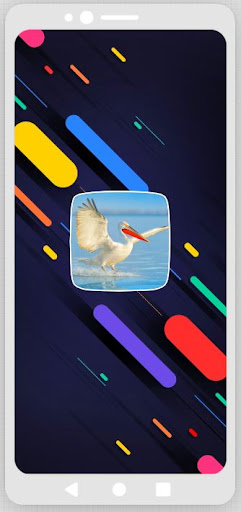 Android application Pelican Birds Sounds screenshort