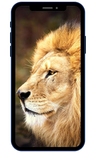 Wild Animal Wallpaper 4K Screen 2
