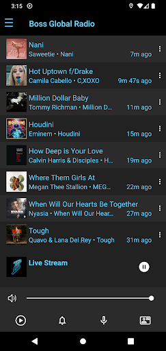 Boss Global Radio Screen 3