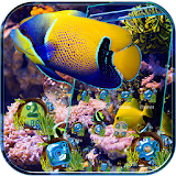 Aquarium Sea Theme icon