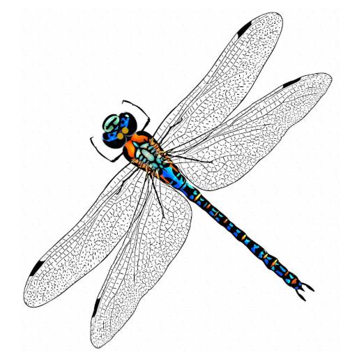 Dragonfly Wallpaper Art Pro 1.0 Icon