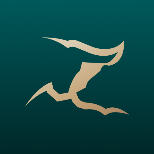 Invest Vision logo