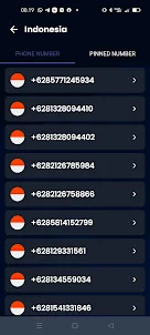 Indonesia Phone Number