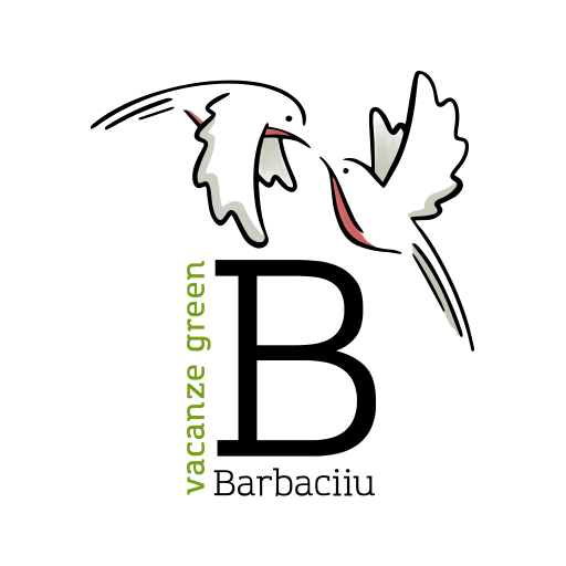 Barbaciiu Vacanze logo