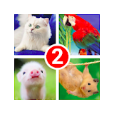 Guess the word 2! ~ 4 Pictures icon