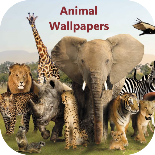 Animal Wallpapers Descarga en Windows